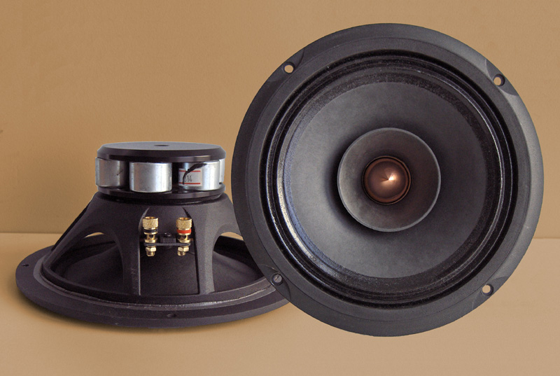 neodymium full range speaker