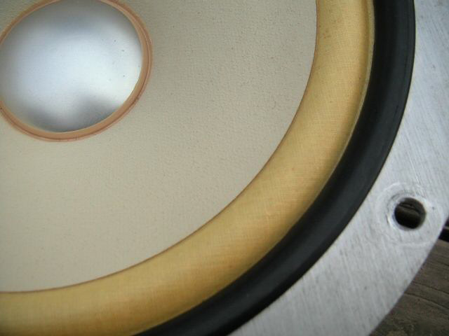 Coral 8F-60 Fullrange Speaker Cone View